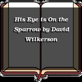 His Eye is On the Sparrow