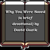 Why You Were Saved (a brief devotional)