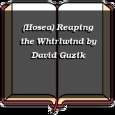 (Hosea) Reaping the Whirlwind