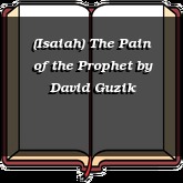 (Isaiah) The Pain of the Prophet