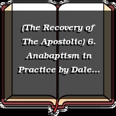 (The Recovery of The Apostolic) 6. Anabaptism in Practice