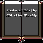 Psalm 23 (Live)