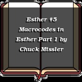 Esther #5 Macrocodes in Esther Part 1