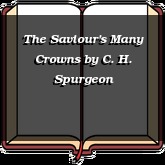 The Saviour's Many Crowns