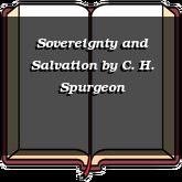 Sovereignty and Salvation
