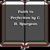 Faith in Perfection