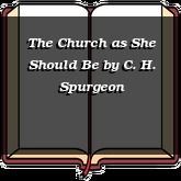 The Church as She Should Be