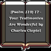 (Psalm 119) 17 - Your Testimonies Are Wonderful