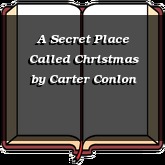 A Secret Place Called Christmas