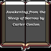 Awakening from the Sleep of Sorrow
