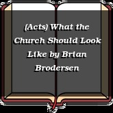 (Acts) What the Church Should Look Like