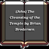 (John) The Cleansing of the Temple