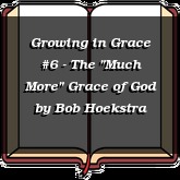 Growing in Grace #6 - The "Much More" Grace of God