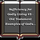 Sufficiency for Godly Living #5 - Old Testament Examples of God's Sufficiency