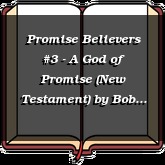 Promise Believers #3 - A God of Promise (New Testament)