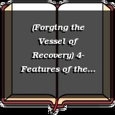 (Forging the Vessel of Recovery) 4- Features of the vessel