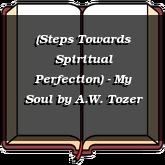 (Steps Towards Spiritual Perfection) - My Soul
