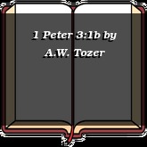 1 Peter 3:1b