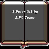 1 Peter 3:1