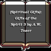(Spiritual Gifts): Gifts of the Spirit 3