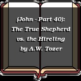 (John - Part 40): The True Shepherd vs. the Hireling