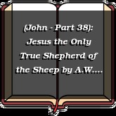 (John - Part 38): Jesus the Only True Shepherd of the Sheep