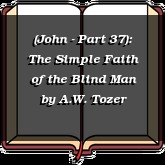 (John - Part 37): The Simple Faith of the Blind Man