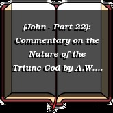 (John - Part 22): Commentary on the Nature of the Triune God