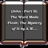 (John - Part 9): The Word Made Flesh: The Mystery of It