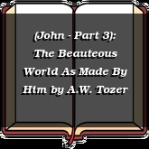 (John - Part 3): The Beauteous World As Made By Him
