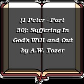 (1 Peter - Part 30): Suffering In God's Will and Out