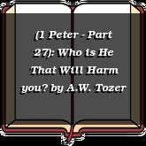 (1 Peter - Part 27): Who is He That Will Harm you?