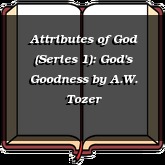 Attributes of God (Series 1): God's Goodness