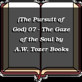 (The Pursuit of God) 07 - The Gaze of the Soul