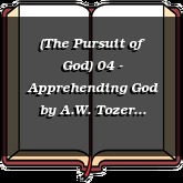 (The Pursuit of God) 04 - Apprehending God