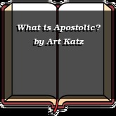 What is Apostolic?