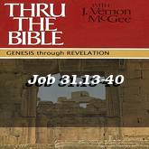 Job 31.13-40