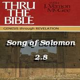 Song of Solomon 2.8