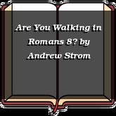 Are You Walking in Romans 8?