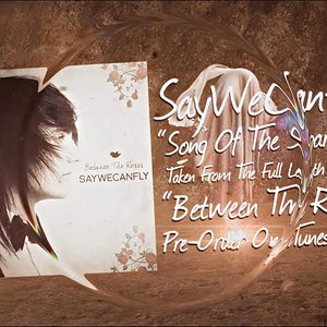 "Song of The Sparrow" (Official Lyric Video) - SayWeCanFly