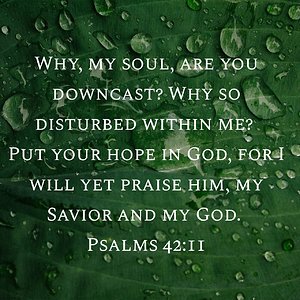 Psalm 42:11 NIV "Why, my soul, are you downcast? Why so disturbed within me? Put your hope in God, for I will yet praise him, my Savior and my God."