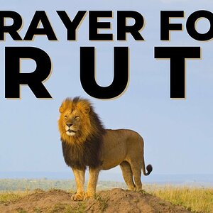 PRAYER FOR TRUTH | LET TRUTH BE REVEALED & LIES EXPOSED!
