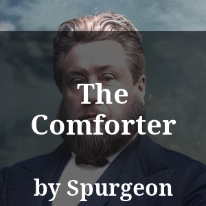 The Comforter