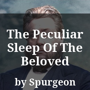 The Peculiar Sleep Of The Beloved