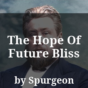 The Hope Of Future Bliss