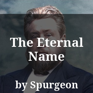 The Eternal Name