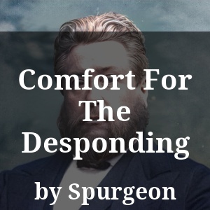 Comfort For The Desponding