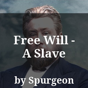 Free Will - A Slave