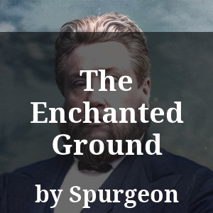 The Enchanted Ground