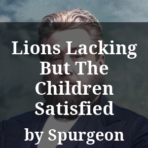 Lions Lacking But The Children Satisfied